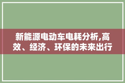 新能源电动车电耗分析,高效、经济、环保的未来出行新选择
