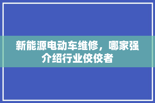 新能源电动车维修，哪家强介绍行业佼佼者