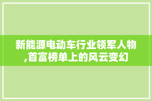 新能源电动车行业领军人物,首富榜单上的风云变幻