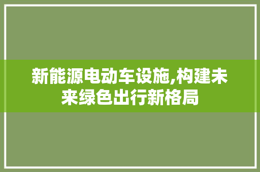 新能源电动车设施,构建未来绿色出行新格局