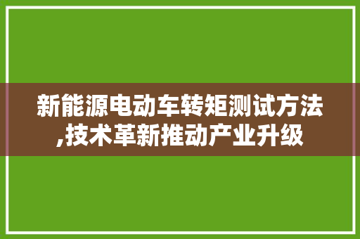 新能源电动车转矩测试方法,技术革新推动产业升级
