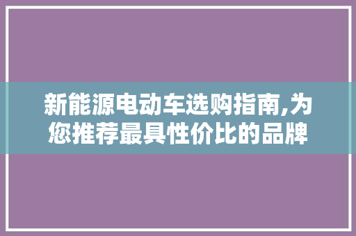 新能源电动车选购指南,为您推荐最具性价比的品牌