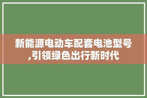 新能源电动车配套电池型号,引领绿色出行新时代