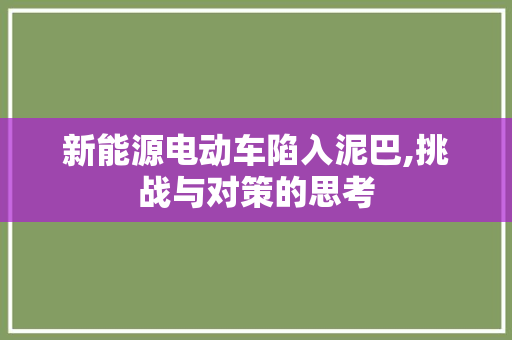 新能源电动车陷入泥巴,挑战与对策的思考
