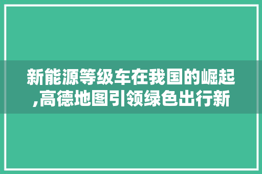 新能源等级车在我国的崛起,高德地图引领绿色出行新风尚