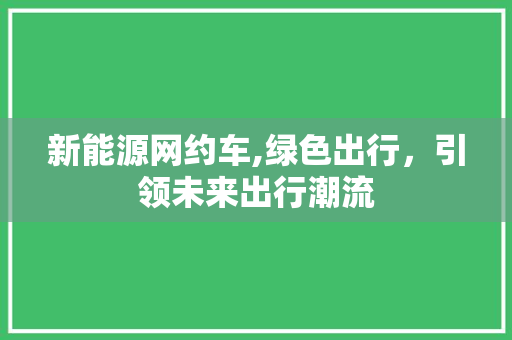 新能源网约车,绿色出行，引领未来出行潮流