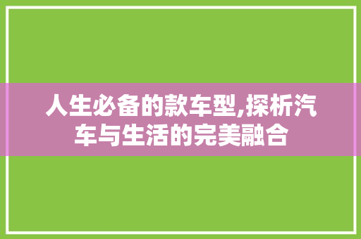 人生必备的款车型,探析汽车与生活的完美融合