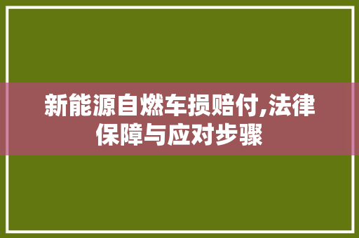新能源自燃车损赔付,法律保障与应对步骤