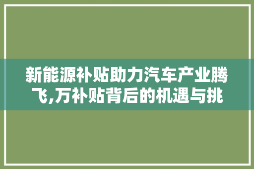 新能源补贴助力汽车产业腾飞,万补贴背后的机遇与挑战