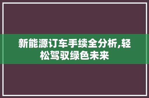 新能源订车手续全分析,轻松驾驭绿色未来