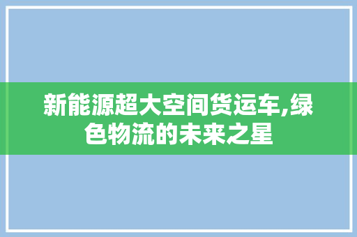 新能源超大空间货运车,绿色物流的未来之星