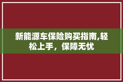 新能源车保险购买指南,轻松上手，保障无忧