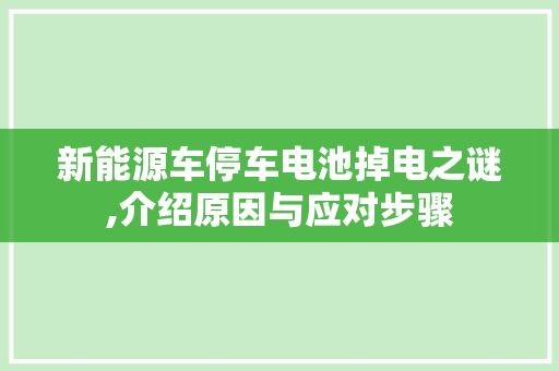 新能源车停车电池掉电之谜,介绍原因与应对步骤