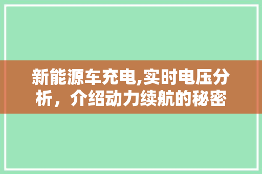 新能源车充电,实时电压分析，介绍动力续航的秘密