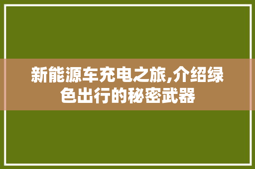 新能源车充电之旅,介绍绿色出行的秘密武器