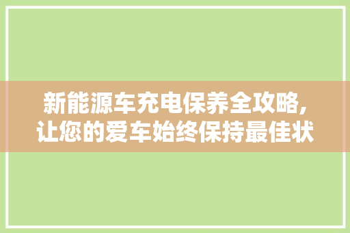 新能源车充电保养全攻略,让您的爱车始终保持最佳状态