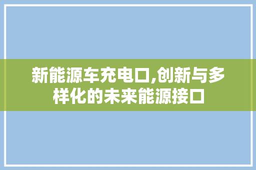新能源车充电口,创新与多样化的未来能源接口