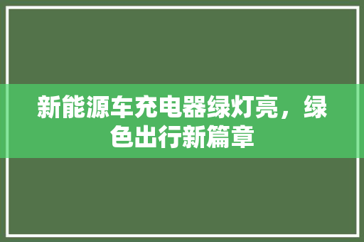 新能源车充电器绿灯亮，绿色出行新篇章