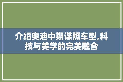 介绍奥迪中期谍照车型,科技与美学的完美融合