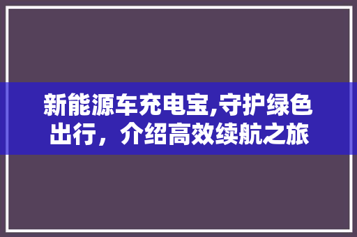新能源车充电宝,守护绿色出行，介绍高效续航之旅