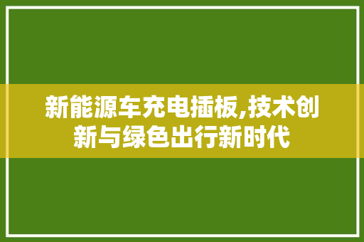 新能源车充电插板,技术创新与绿色出行新时代