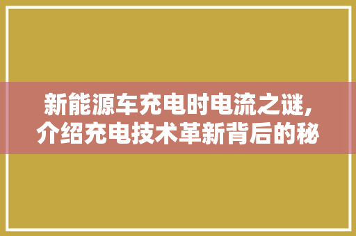 新能源车充电时电流之谜,介绍充电技术革新背后的秘密