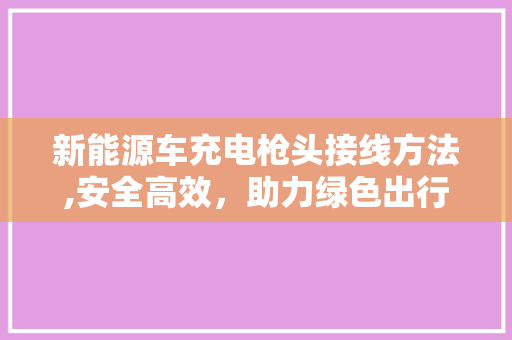 新能源车充电枪头接线方法,安全高效，助力绿色出行