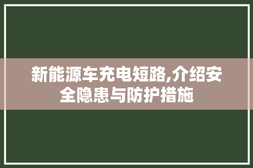 新能源车充电短路,介绍安全隐患与防护措施