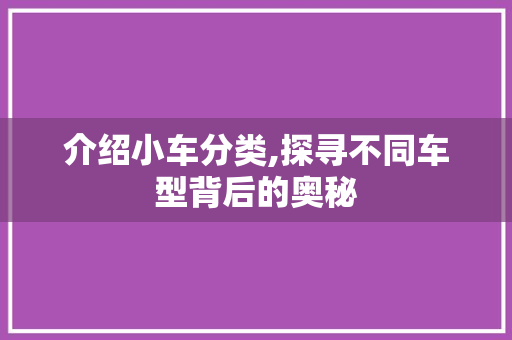 介绍小车分类,探寻不同车型背后的奥秘