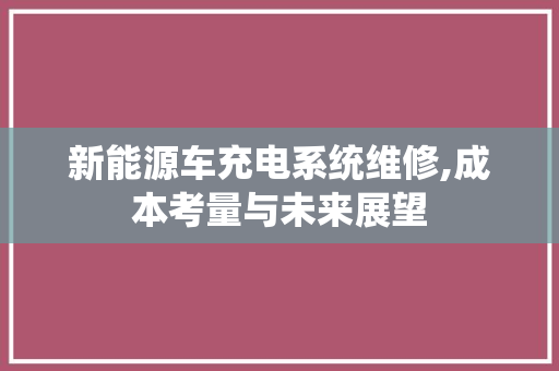 新能源车充电系统维修,成本考量与未来展望