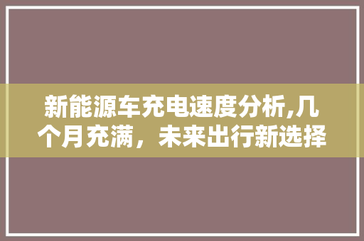 新能源车充电速度分析,几个月充满，未来出行新选择