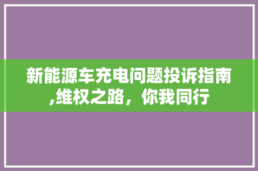 新能源车充电问题投诉指南,维权之路，你我同行