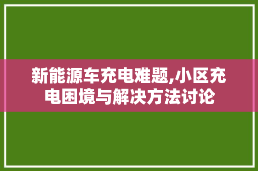 新能源车充电难题,小区充电困境与解决方法讨论