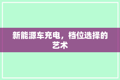 新能源车充电，档位选择的艺术