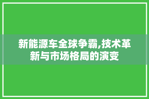 新能源车全球争霸,技术革新与市场格局的演变