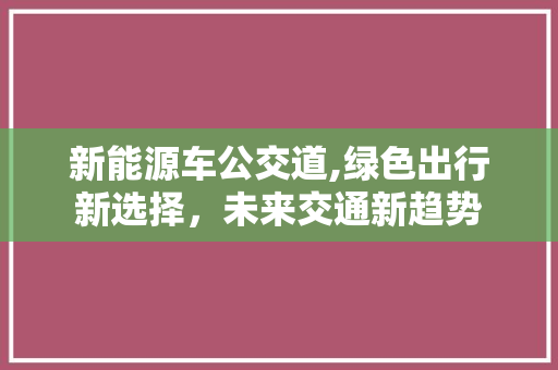 新能源车公交道,绿色出行新选择，未来交通新趋势