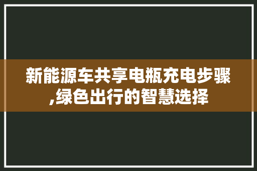 新能源车共享电瓶充电步骤,绿色出行的智慧选择