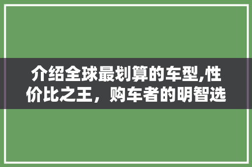 介绍全球最划算的车型,性价比之王，购车者的明智选择