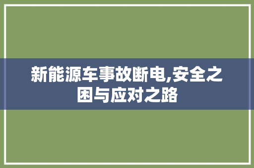 新能源车事故断电,安全之困与应对之路