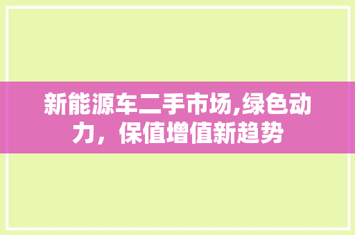 新能源车二手市场,绿色动力，保值增值新趋势