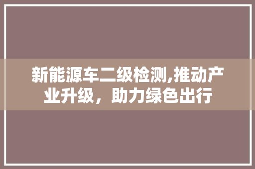 新能源车二级检测,推动产业升级，助力绿色出行