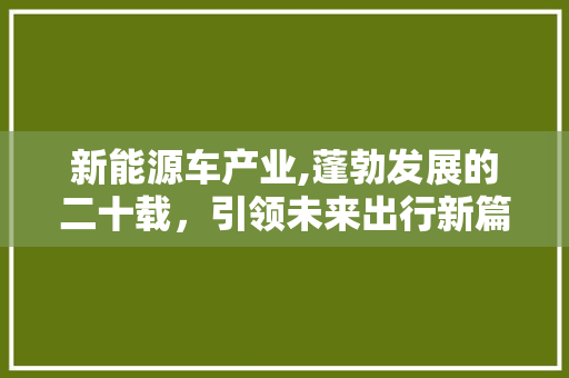 新能源车产业,蓬勃发展的二十载，引领未来出行新篇章