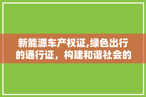 新能源车产权证,绿色出行的通行证，构建和谐社会的绿色桥梁
