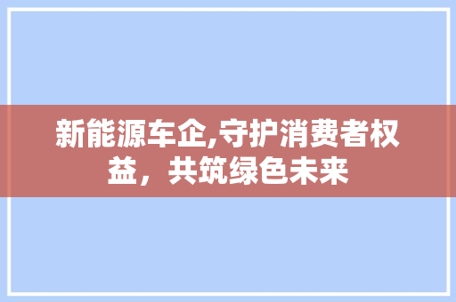 新能源车企,守护消费者权益，共筑绿色未来