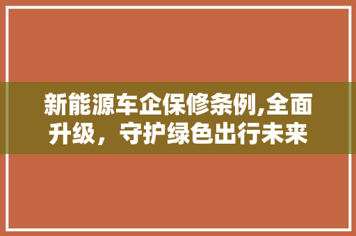 新能源车企保修条例,全面升级，守护绿色出行未来