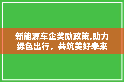 新能源车企奖励政策,助力绿色出行，共筑美好未来