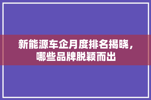 新能源车企月度排名揭晓，哪些品牌脱颖而出
