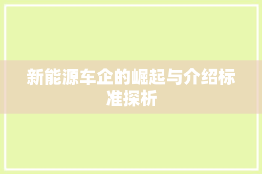 新能源车企的崛起与介绍标准探析