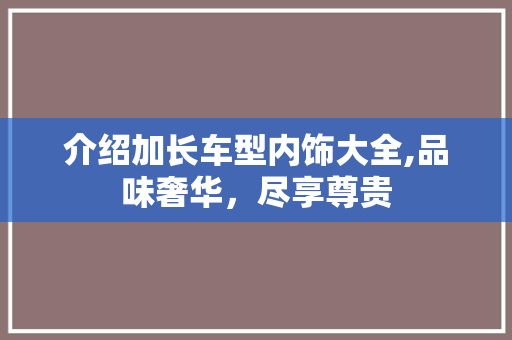 介绍加长车型内饰大全,品味奢华，尽享尊贵