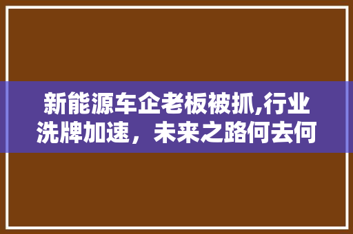 新能源车企老板被抓,行业洗牌加速，未来之路何去何从